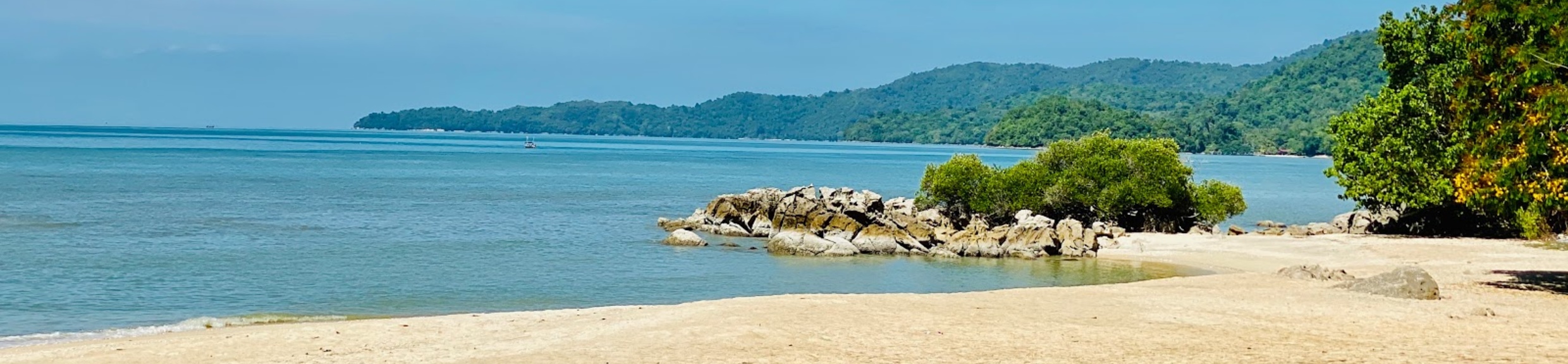 Simon CK Cover image 1