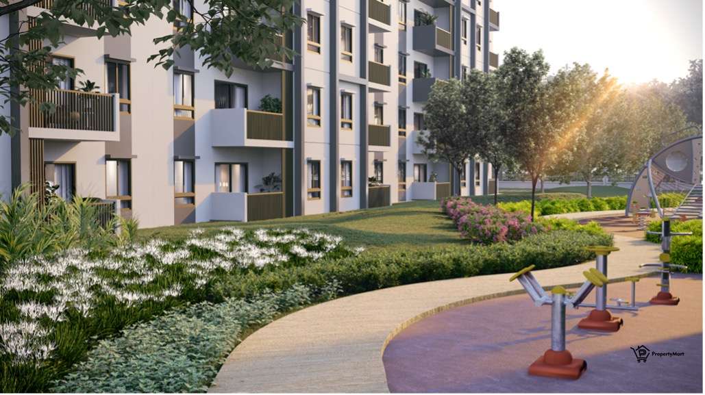 Ceria D' Eco Horizon