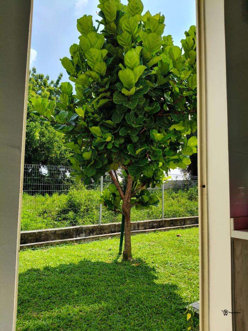 Taman Sena Emas